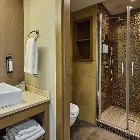 Отель Avantgarde Urban Levent 5*